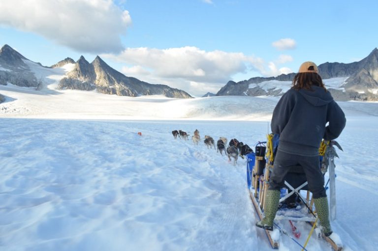 Summer Dog Sledding in Alaska