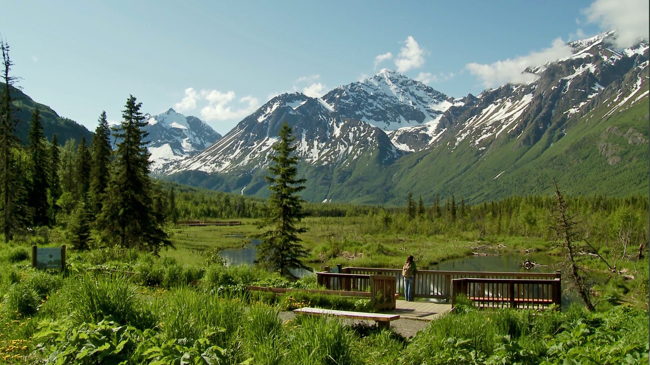 Budget Travel Ideas When Visiting Alaska