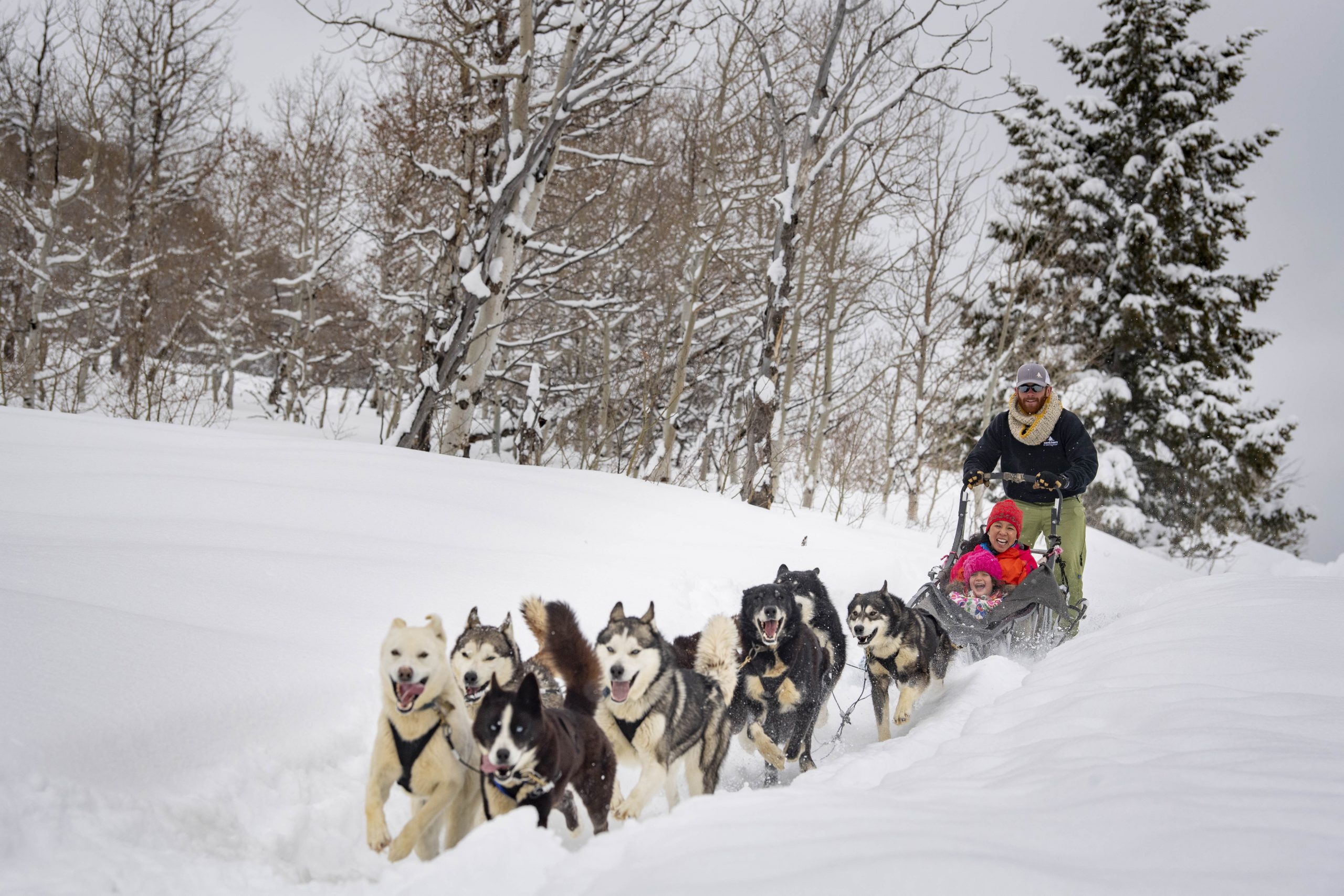 What You Should Prepare Before Going Dog Sledding in Alaska