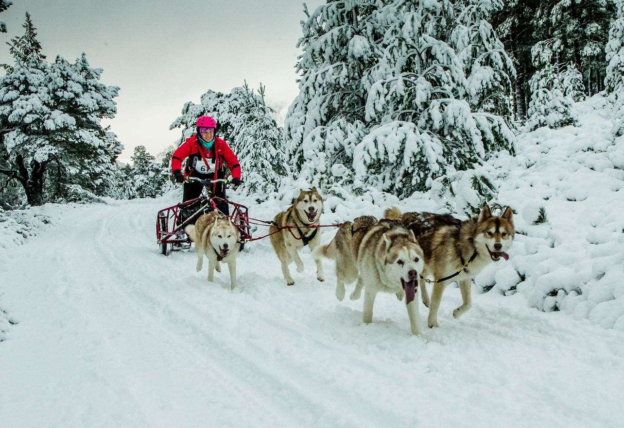 Thomas Wærner's Unique Experience When He Won The Iditarod Dog Sled 2020